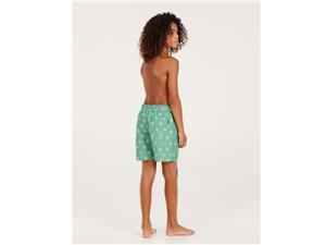 Protest Zwemshort palm green